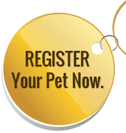 register